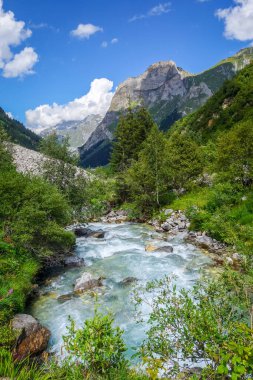 Vanoise Ulusal Parkı Alp Vadisi 'ndeki Doron Nehri, Fransız Alpleri.