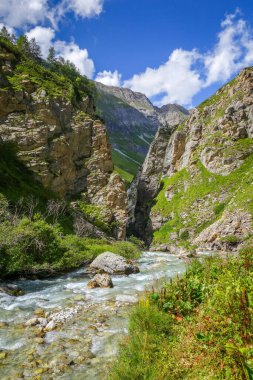 Vanoise Ulusal Parkı Alp Vadisi 'ndeki Doron Nehri, Fransız Alpleri.