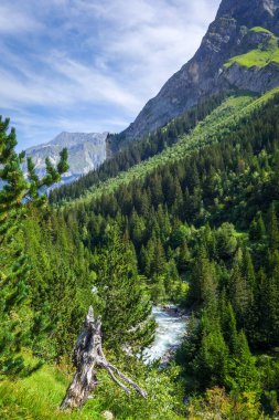 Vanoise Ulusal Parkı Alp Vadisi 'ndeki Doron Nehri, Fransız Alpleri.