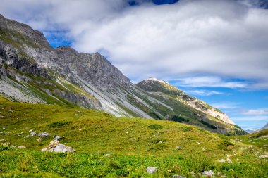 Pralognan la Vanoise 'deki dağ ve otlaklar. Fransız Alpleri