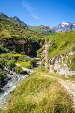 Vanoise Ulusal Parkı Alp Vadisi, Savoie, Fransız Alpleri 'ndeki dağ nehri ve ahşap köprü.