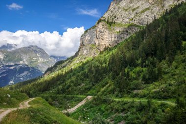 Pralognan la Vanoise 'deki dağ ve otlaklar. Fransız Alpleri