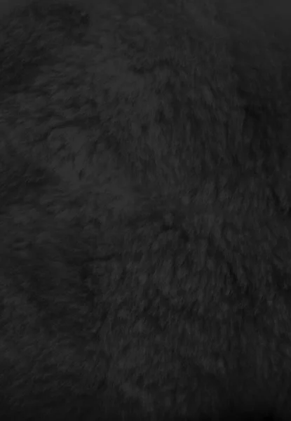 Czarny Futro Tło Zbliżenie Widok Tapeta Teksturowana — Zdjęcie stockowe