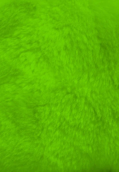 Green Fur Background Close View Texture Wallpaper — Stock Photo, Image