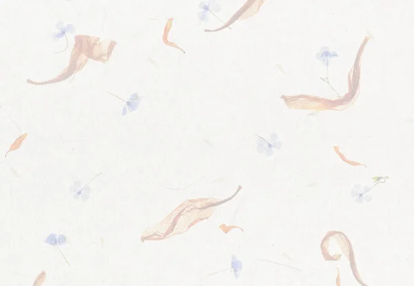 Handgemachte Blume Blütenblatt Papier Textur Hintergrund — Stockfoto