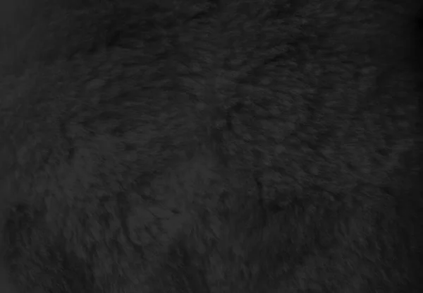 Black fur background close up view. Texture wallpaper