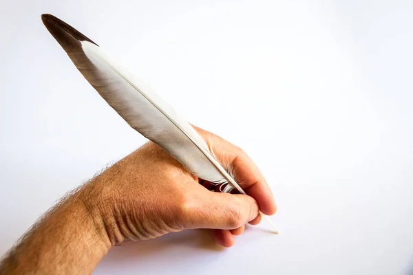 Handschrift Met Een Vogelveer Geïsoleerd Witte Achtergrond — Stockfoto