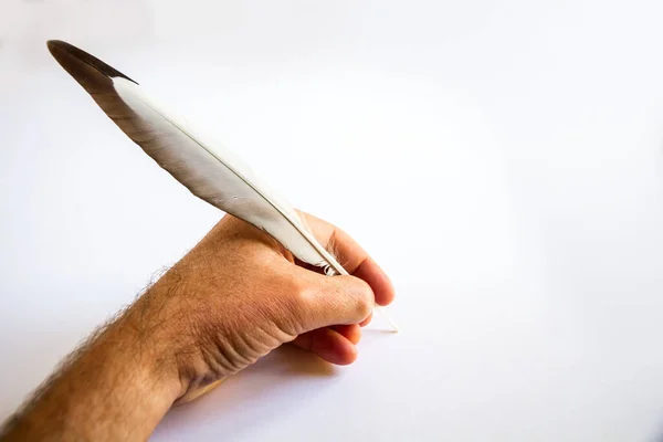 Scrittura Mano Con Una Piuma Uccello Isolata Sfondo Bianco — Foto Stock