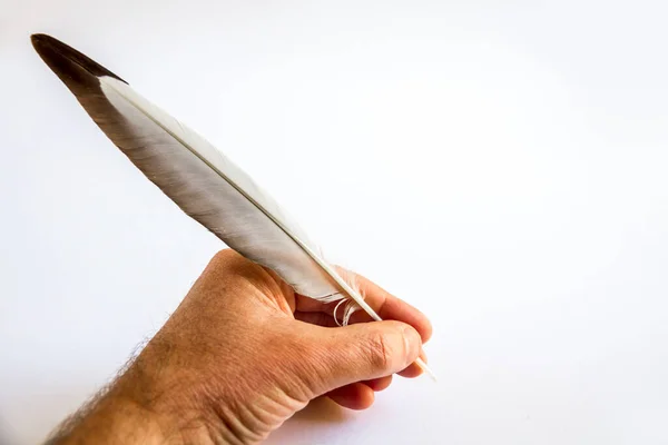 Escritura Mano Con Una Pluma Pájaro Aislada Sobre Fondo Blanco — Foto de Stock