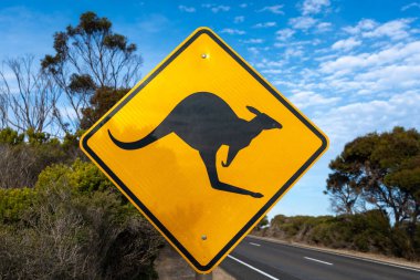 Kanguru siluetine sahip parlak sarı bir yol tabelası sürücüleri Avustralya 'da vahşi yaşam geçişleri konusunda uyarıyor. Arkaplanda çalılık ve açık mavi bir gökyüzü var.