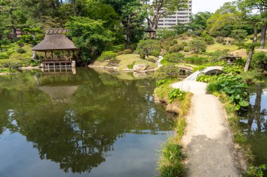 Şık geleneksel köprüler, Japonya 'nın Hiroşima şehrinin göletine kurulmuş sakin bir Japon bahçesi olan Shukkei-en' de sakin bir göleti geçiyor.