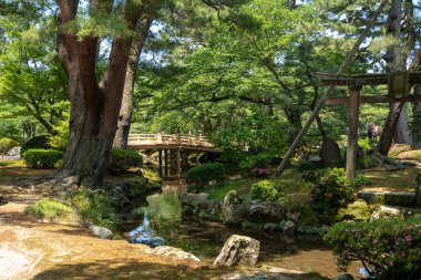 Kanazawa Kalesi yakınlarındaki Kenroku-en bahçesindeki eski çam ağaçlarının altında sessiz bir dere, yemyeşil bir çevrede huzurlu bir an sunuyor.