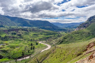 Çarpıcı bir Colca Kanyonu manzarası dramatik uçurumlar, yemyeşil yemyeşil ve açık mavi bir gökyüzü.