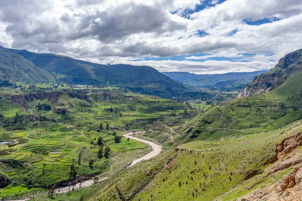 Çarpıcı bir Colca Kanyonu manzarası dramatik uçurumlar, yemyeşil yemyeşil ve açık mavi bir gökyüzü.