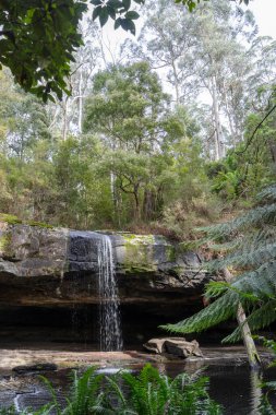Avustralya 'daki Büyük Okyanus Yolu üzerindeki Cumberland Nehri yürüyüşü boyunca yer alan Kalimna Şelaleleri, kayalık bir çıkıntının üzerinden yemyeşil bir yağmur ormanına dökülür. Yükselen eğrelti otları ve yoğun yeşillik bu dingin doğal şelalenin etrafını sarar.
