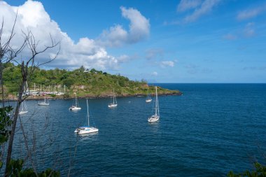 Birçok yelkenli Atuona Körfezi 'nin sakin sularında yüzer, Hiva Oa, Fransız Polinezyası. Marquesas Adaları 'nın yemyeşil kıyı şeridi huzurlu kıyıları çevrelemektedir.