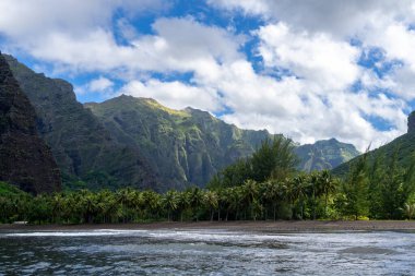 Hakaui Körfezi, Nuku Hiva, Marquesas Adaları, Fransız Polinezyası 'nda tenha bir kumsal. Yükselen kayalıklar, yemyeşil bitki örtüsü ve sallanan palmiye ağaçları çarpıcı bir tropik cennet yaratır.