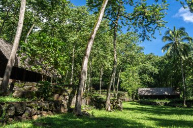 Geleneksel sazdan çatılı bir yapı, Kamuihei 'deki antik taş kalıntıları arasında duruyor, Nuku Hiva. Bu Polinezya miras alanı yemyeşil tropikal bitki örtüsüyle çevrilidir. Fransız Polinezyası