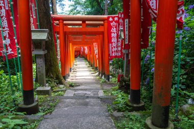 Japonya 'nın Kamakura kentindeki Sasuke İnari-jinja ormanında kırmızı torii kapıları ve dalgalanan sancaklar huzurlu bir yol çiziyor.