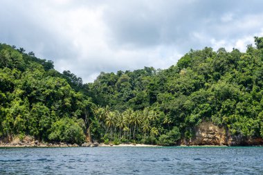 Togian Adaları, Sulawesi, Endonezya 'nın ücra bir adasında palmiye ağaçları ve yemyeşil ormanlarla kaplı gizli bir cennet.
