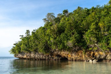 Yoğun yeşil ormanlarla kaplı kayalık uçurumlar Lia sahilinin sakin sularıyla buluşuyor, Waleakodi Adası, Togian takımadası, Endonezya