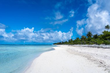 Maupiti 'de el değmemiş beyaz bir kumsal, Fransız Polinezyası, yemyeşil hindistan cevizi ağaçlarıyla kaplı ve turkuaz bir göle bakan, huzurlu ve tropikal bir cennet yaratıyor.