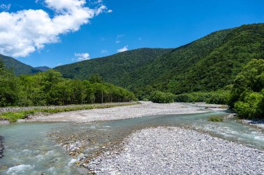 Azusa Nehri, Japon Alpleri 'ndeki Kamikochi yürüyüş parkurunun karla kaplı tepelerinin altındaki yemyeşil ormanlarda esiyor.
