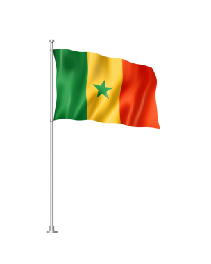 Senegal bayrağı, 3 boyutlu illüstrasyon, beyaz üzerine izole edilmiş.