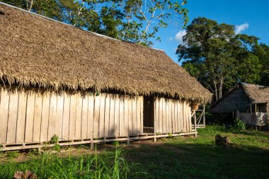 Birkaç deniz aslanı San Francisco Balıkçı İskelesi 'ndeki ahşap yüzer rıhtımda güneşleniyor. Bazıları güneşlenirken, diğerleri suyun yanında neşeyle etkileşime girer.