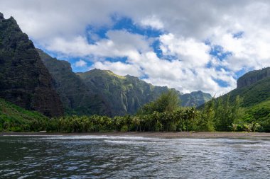 Hakaui Körfezi, Nuku Hiva, Marquesas Adaları, Fransız Polinezyası 'nda tenha bir kumsal. Yükselen kayalıklar, yemyeşil bitki örtüsü ve sallanan palmiye ağaçları çarpıcı bir tropik cennet yaratır.