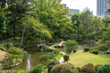 Şık geleneksel köprüler, Japonya 'nın Hiroşima şehrinin göletine kurulmuş sakin bir Japon bahçesi olan Shukkei-en' de sakin bir göleti geçiyor.