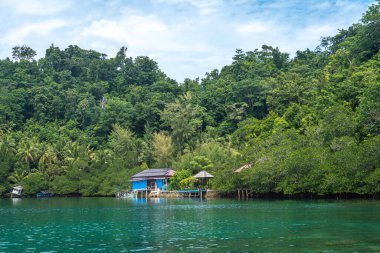 Küçük balıkçılar, Togian Adaları, Sulawesi, Endonezya 'da yemyeşil tropikal ormanlar ve temiz suyla çevrili küçük evlerdir.