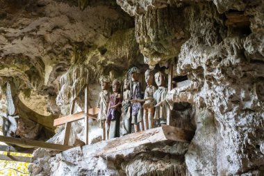 Tahta Tau Tau heykelleri, Endonezya 'nın Sulawesi bölgesindeki Lemo Toraja bölgesindeki bir kireçtaşı mağarasında kutsal bir şekilde duruyor.