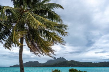Palmiye ağaçlarıyla kaplı bir sahilden Bora Bora adasının manzarası Fransız Polinezyası 'nda mükemmel bir tropik cennet sunuyor.