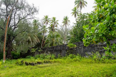 Huahine 'deki antik bir Polinezya kutsal bölgesi olan Marae Manunu, Hindistan cevizi ağaçları ve yemyeşil bitki örtüsünün arasında duruyor ve adanın ruhani ve tarihi mirasını koruyor.