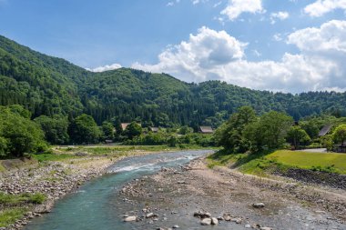 Sho Nehri, ormanlık dağlar ve huzurlu bir yaz manzarasında geleneksel sazdan evler ile çevrili Shirakawa-go 'da usulca esiyor.