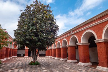 Santa Catalina Manastırı avlusu, canlı kırmızı duvarlar, ağaçlar ve çiçeklerle, sakin anlar için sakin bir alan sunar.