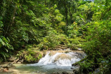 Berrak su, Tentena, Sulawesi, Endonezya yakınlarındaki yağmur ormanlarındaki yemyeşil tropikal bitki örtüsüyle çevrili kayaların üzerinden akar ve barışçıl bir atmosfer yaratır.