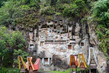 Lemo 'nun kayalıklarında oyulmuş mezarları ve Tau Tau heykelleri olan, Sulawesi' deki yemyeşil pirinç tarlalarıyla çevrili geleneksel bir mezarlık.