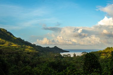 Bereketli bitki örtüsü, ağaçlar ve sakin Hurepiti Körfezi manzarası Tahaa Adası, Fransız Polinezyası