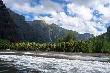 Hakaui Körfezi, Nuku Hiva, Marquesas Adaları, Fransız Polinezyası 'nda tenha bir kumsal. Yükselen kayalıklar, yemyeşil bitki örtüsü ve sallanan palmiye ağaçları çarpıcı bir tropik cennet yaratır.