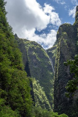 Vaipo şelalesi Hakaui Vadisi, Nuku Hiva, Fransız Polinezyası 'ndaki yüksek uçurumlardan aşağı akar. Yeşil ormanlarla çevrili bu uzak doğa harikası Marquesas Adaları 'ndaki en yüksek şelaledir.