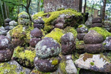 Japonya 'nın Kamakura kentindeki Hokoku-ji türbesini çevreleyen ormandaki bambu ve ağaçların arasında sessizce duran yosun kaplı gorinto taşından pagodalar.