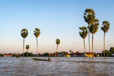 Geleneksel bir Bugis balıkçısı, Endonezya 'nın Sulawesi kentindeki palmiye ağaçları ve yüzen köy evleriyle çevrili teknesiyle gün batımında Tempe Gölü' nden geçiyor.