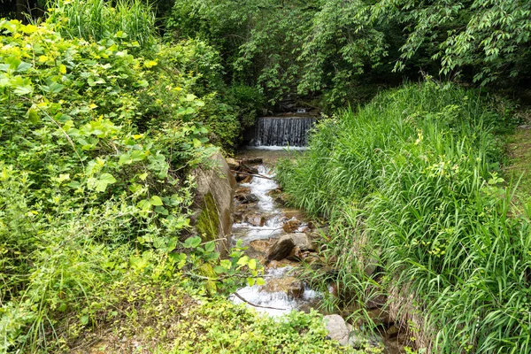 Magome ve Tsumago arasındaki tarihi Nakasendo patikasının yanındaki yemyeşil yemyeşil sularda huzurlu ve doğal bir ortam sunan huzurlu bir dere.