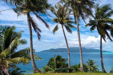 Ön planda palmiye ağaçları olan Raiatea Adası 'nın nefes kesici bir görüntüsü, Fransız Polinezyası' ndaki Tahaa 'dan çekilmiş, sakin bir tropikal manzara sunuyor.