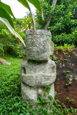 Puamau, Hiva Oa, Fransız Polinezyası 'ndaki kraliçe mezarının yemyeşil bitki örtüsünde oyulmuş bir tiki antik Markiz kültürünü ve geleneklerini yansıtıyor.