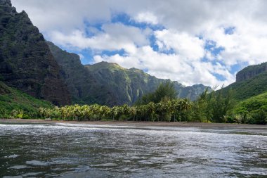 Hakaui Körfezi, Nuku Hiva, Marquesas Adaları, Fransız Polinezyası 'nda tenha bir kumsal. Yükselen kayalıklar, yemyeşil bitki örtüsü ve sallanan palmiye ağaçları çarpıcı bir tropik cennet yaratır.