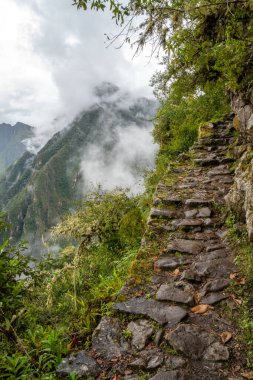 Bereketli bitki örtüsü ve sisli dağlarla çevrili dar bir taş yol, antik bir stratejik erişim yolu olan Machu Picchu 'daki İnka Köprüsü' ne çıkar.