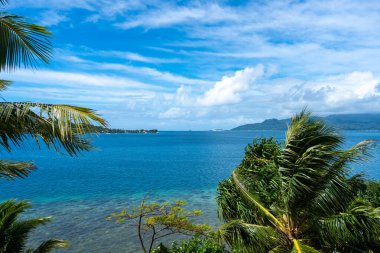 Ön planda palmiye ağaçları olan Raiatea Adası 'nın nefes kesici bir görüntüsü, Fransız Polinezyası' ndaki Tahaa 'dan çekilmiş, sakin bir tropikal manzara sunuyor.